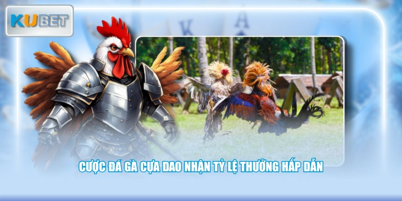 Cược đá gà cựa dao nhận tỷ lệ thưởng hấp dẫn